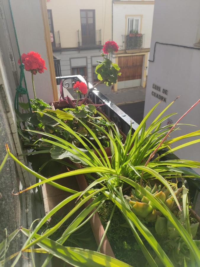 Ferienwohnung Vive Triana Sevilla Exterior foto