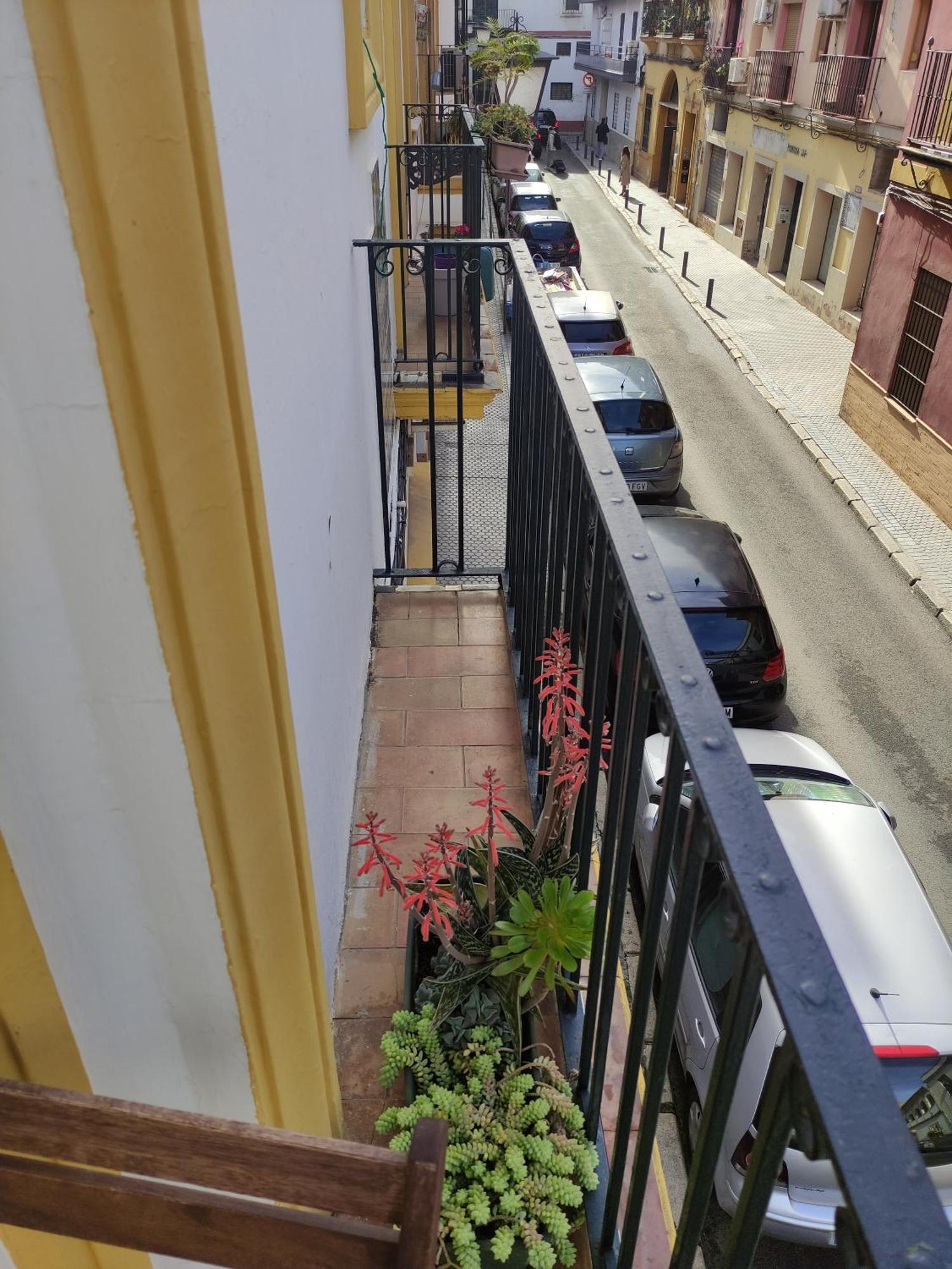 Ferienwohnung Vive Triana Sevilla Exterior foto